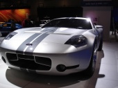 DSC00684 (Custom).JPG